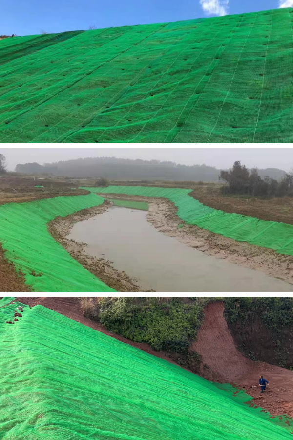 Por qué las redes de vegetación 3D son clave para la infraestructura verde y el desarrollo sostenible.