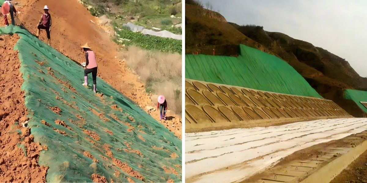 The Green Infrastructure Solution: How 3D Vegetation Nets Support Sustainable Development Goals The Green Infrastructure Solution: How 3D Vegetation Nets Support Sustainable Development Goals