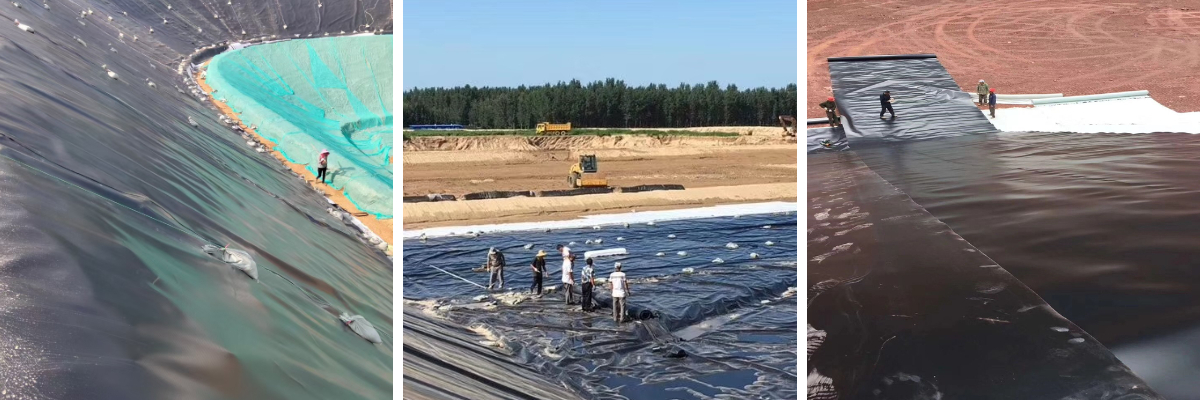 Aquakultur und Teichfolien: Zuverlässige Abdichtung für Fischzuchtbetriebe und Zierteiche