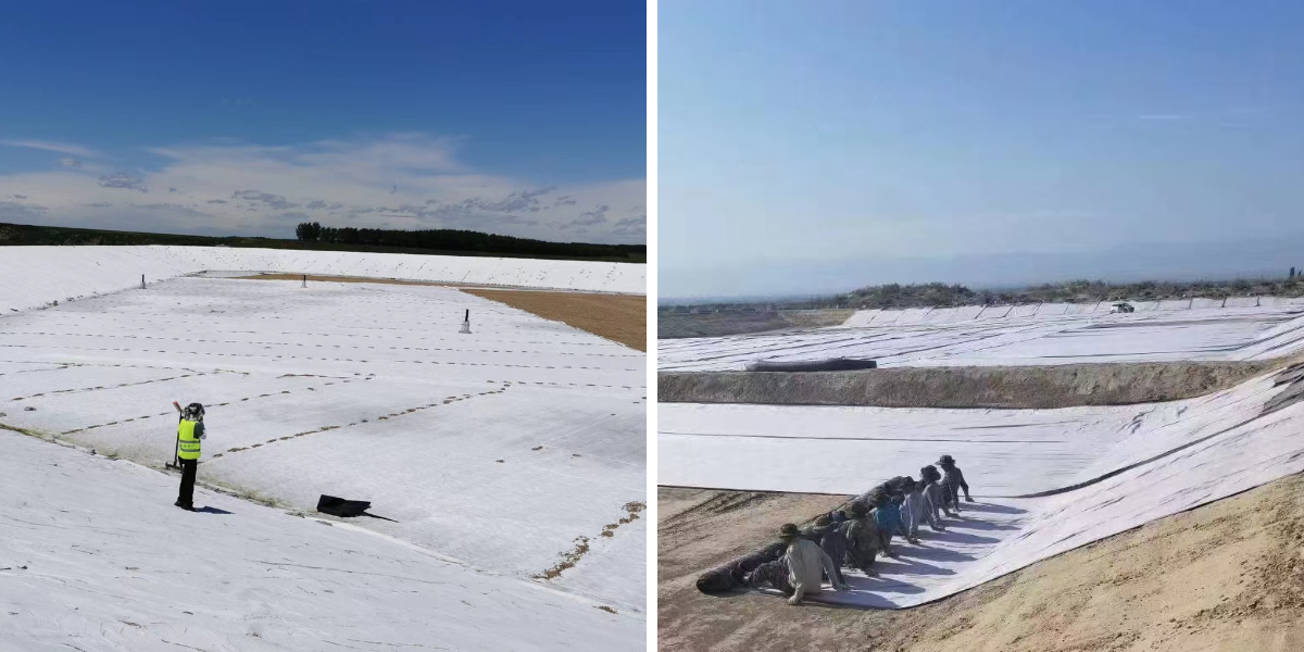 Non Woven Geotextile vs Geomembrane: When to Use Which for Waterproofing and Separation