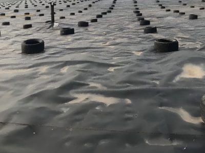 Environmental Benefits of HDPE Geomembrane: A Green Choice for Sustainable Engineering