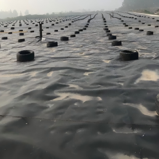 الأغشية الجغرافية