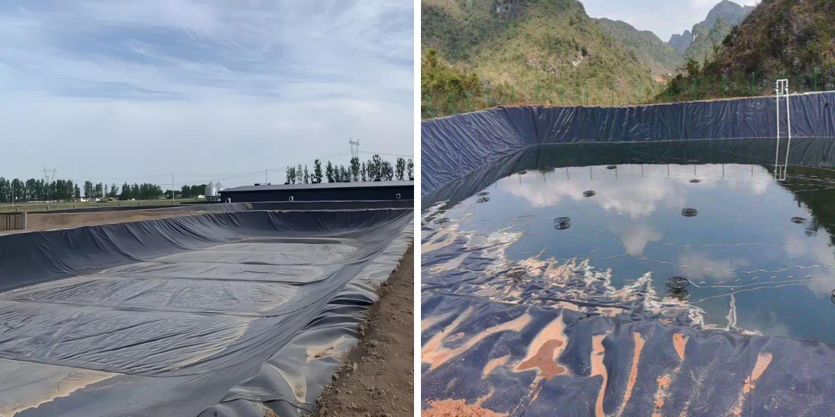 Cómo comparar proveedores de geomembranas de HDPE: Guía del comprador Cómo comparar proveedores de geomembranas de HDPE: Guía del comprador