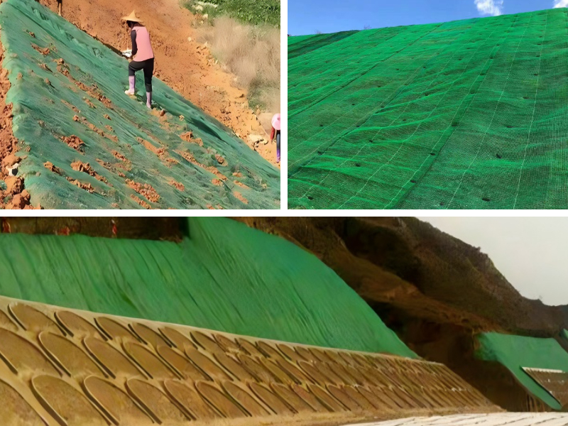 Riverbank Protection with Geomats: Case Studies of Successful Erosion Prevention