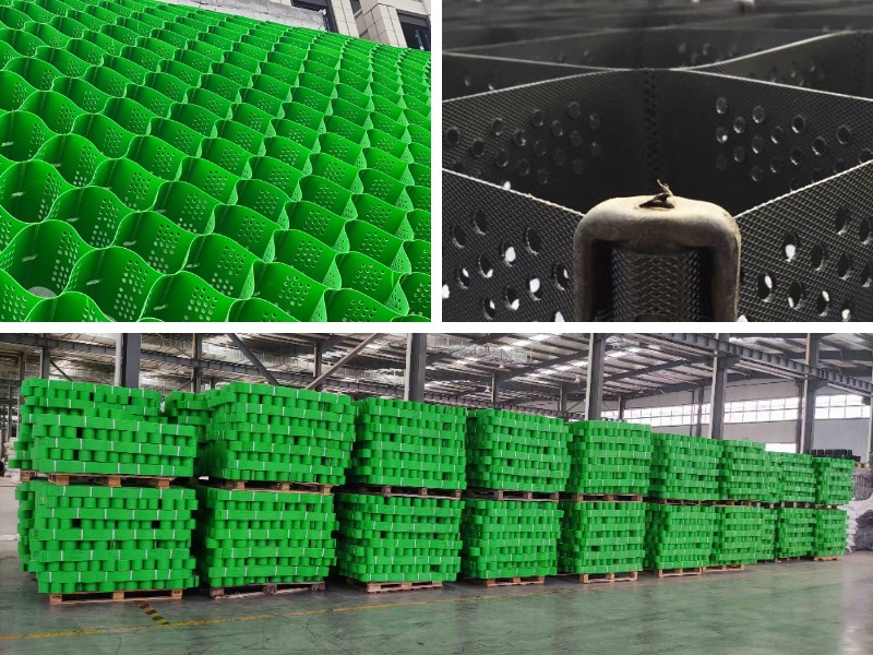 أنظمة الخلايا الجيولوجية النباتية: الجمع بين الجمالية والوظيفة أنظمة الخلايا الجيولوجية النباتية: الجمع بين الجمالية والوظيفة