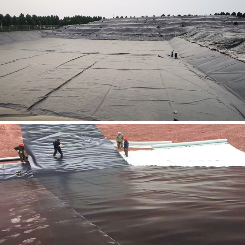 Géomembrane vs géotextile : comprendre les différences cruciales Géomembrane vs géotextile : comprendre les différences cruciales