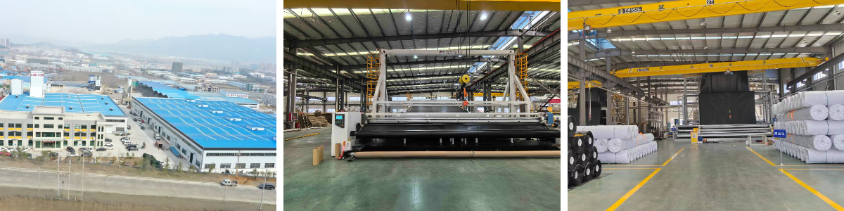 بطانة الغشاء الجيوممبرين