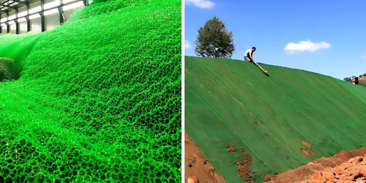 استخدام الجيومات لإدارة مياه الأمطار والتحكم في الجريان السطحي