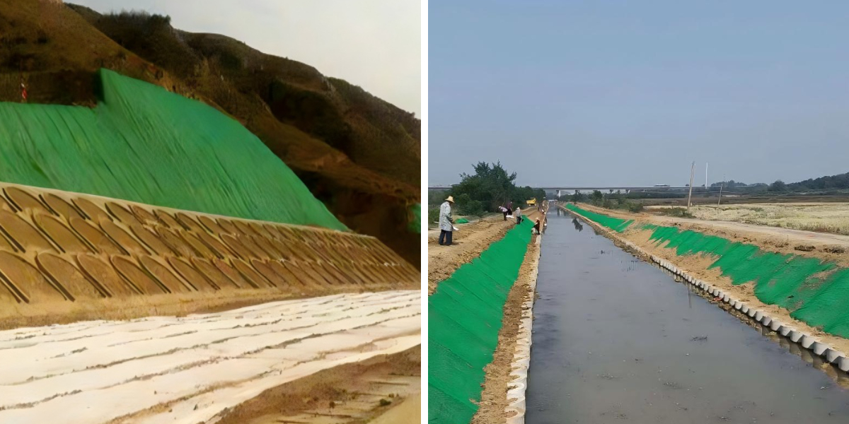 كيفية اختيار الجيومات المناسبة لمشروعك كيفية اختيار الجيومات المناسبة لمشروعك