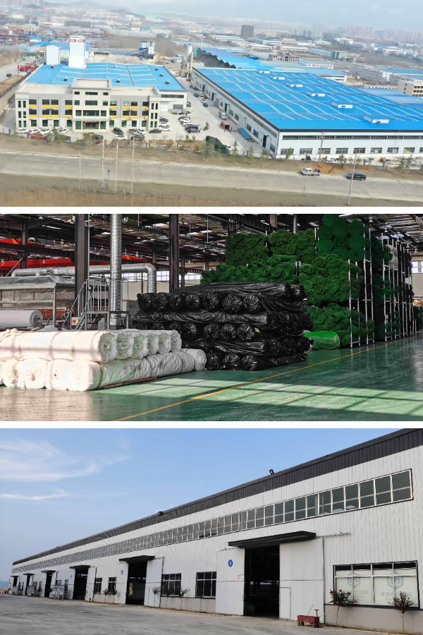 دراسات الحالة: مشاريع الجيومات الناجحة وتأثيرها على كفاءة البناء