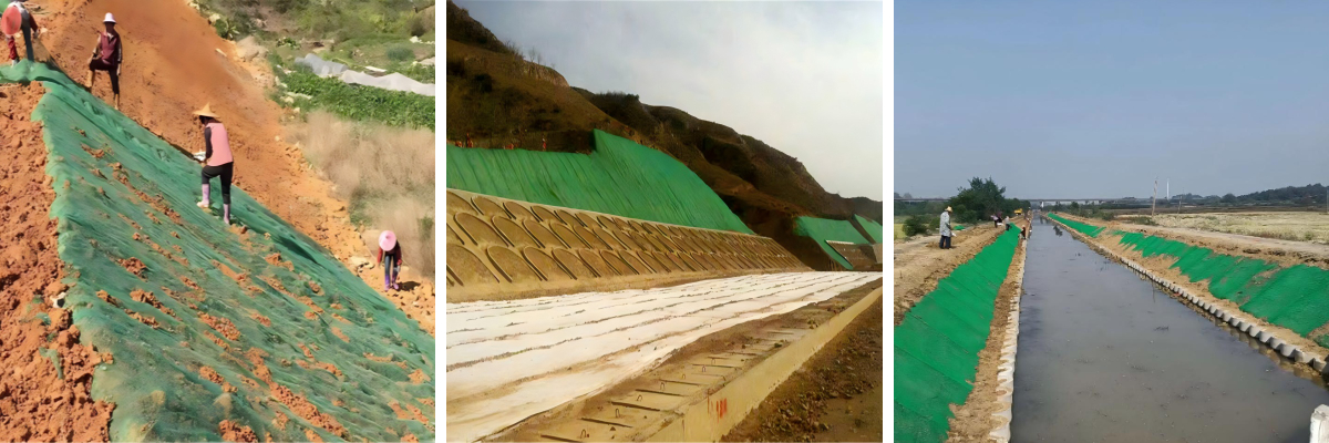 ما هي مدة صلاحية شبكة الغطاء النباتي ثلاثية الأبعاد؟ فهم عمر المواد. ما هي مدة صلاحية شبكة الغطاء النباتي ثلاثية الأبعاد؟ فهم عمر المواد.