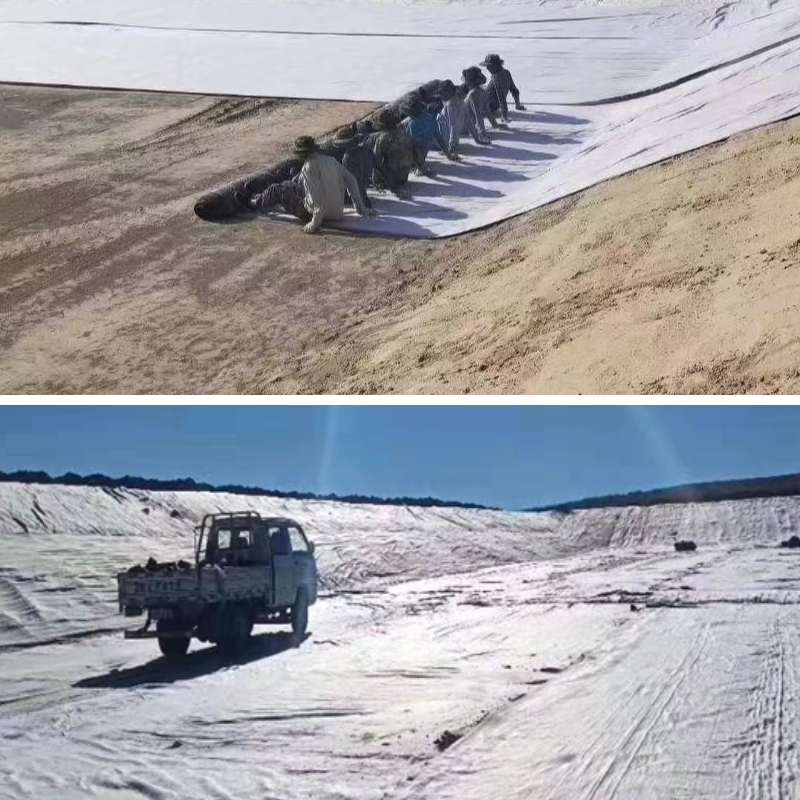 Geotextile Cloth Material Options: Polypropylene vs. Polyester—Pros & Cons Geotextile Cloth Material Options: Polypropylene vs. Polyester—Pros & Cons